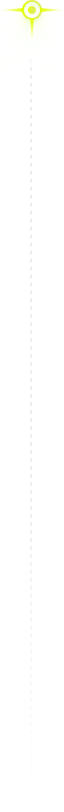 step-divider-bottom